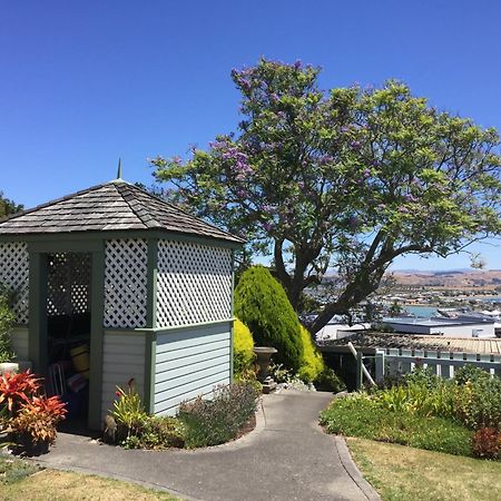 Jacaranda Lodge - Napier Hill Holiday Home מראה חיצוני תמונה